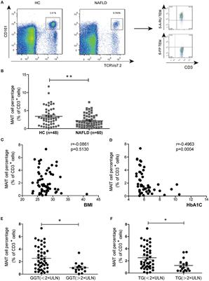 Mucosal-Associated Invariant T Cells Improve Nonalcoholic Fatty Liver Disease Through Regulating Macrophage Polarization